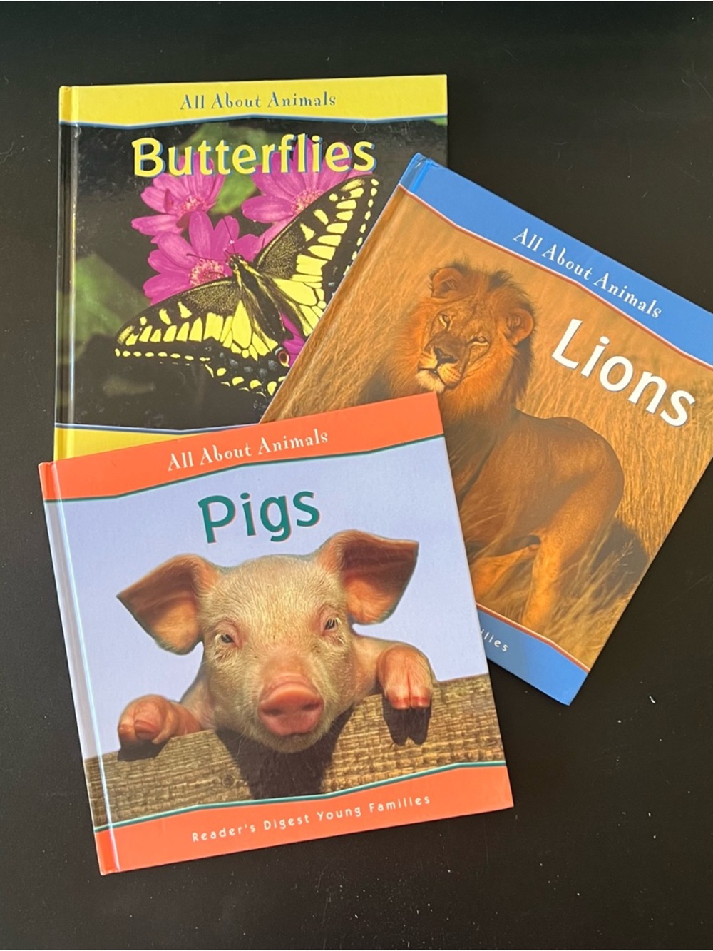All About Animals Books: Pigs, Lions, Butterflies. Hardcover Children's Books